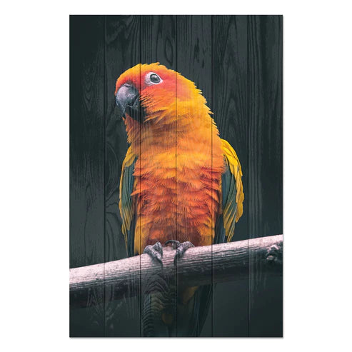 Wanddeko Holz - Papuga