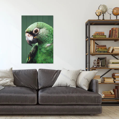 Wanddeko Holz - Parrot