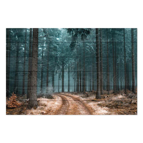 Wanddeko Holz - Path in the Forest