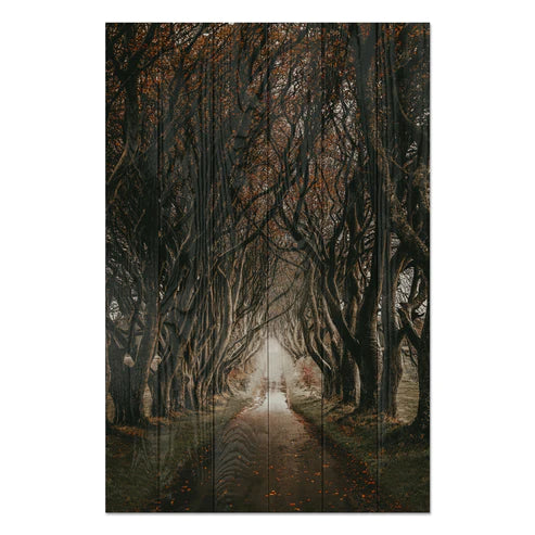 Wanddeko Holz - Road among the Trees