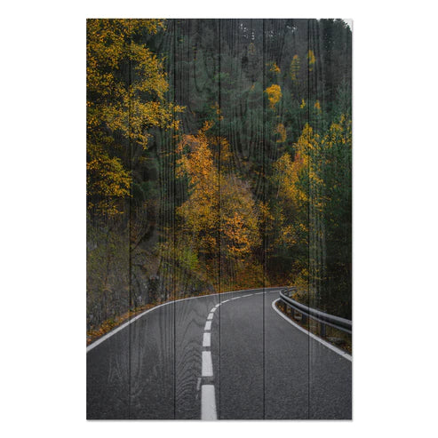 Wanddeko Holz - Road throught the Forest