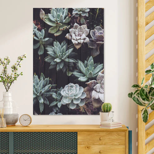 Wanddeko Holz - Succulents