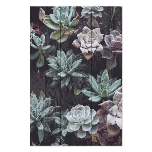 Wanddeko Holz - Succulents