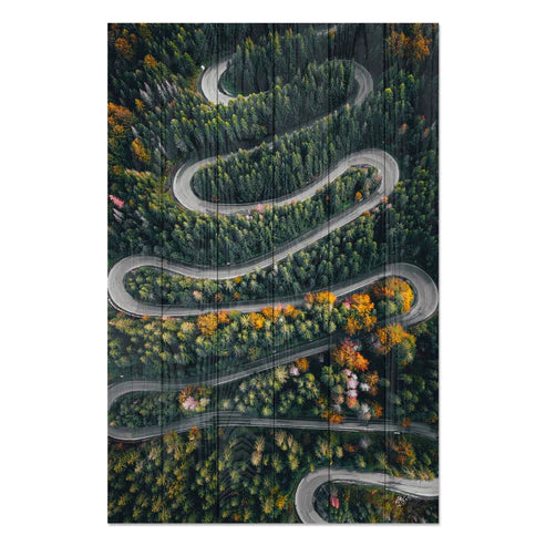 Wanddeko Holz - Winding Road throught the Forest