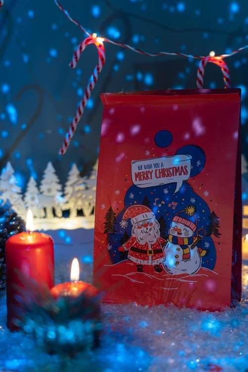 16+8x27cm Weihnachtsmann Weihnachts Geschenktüten