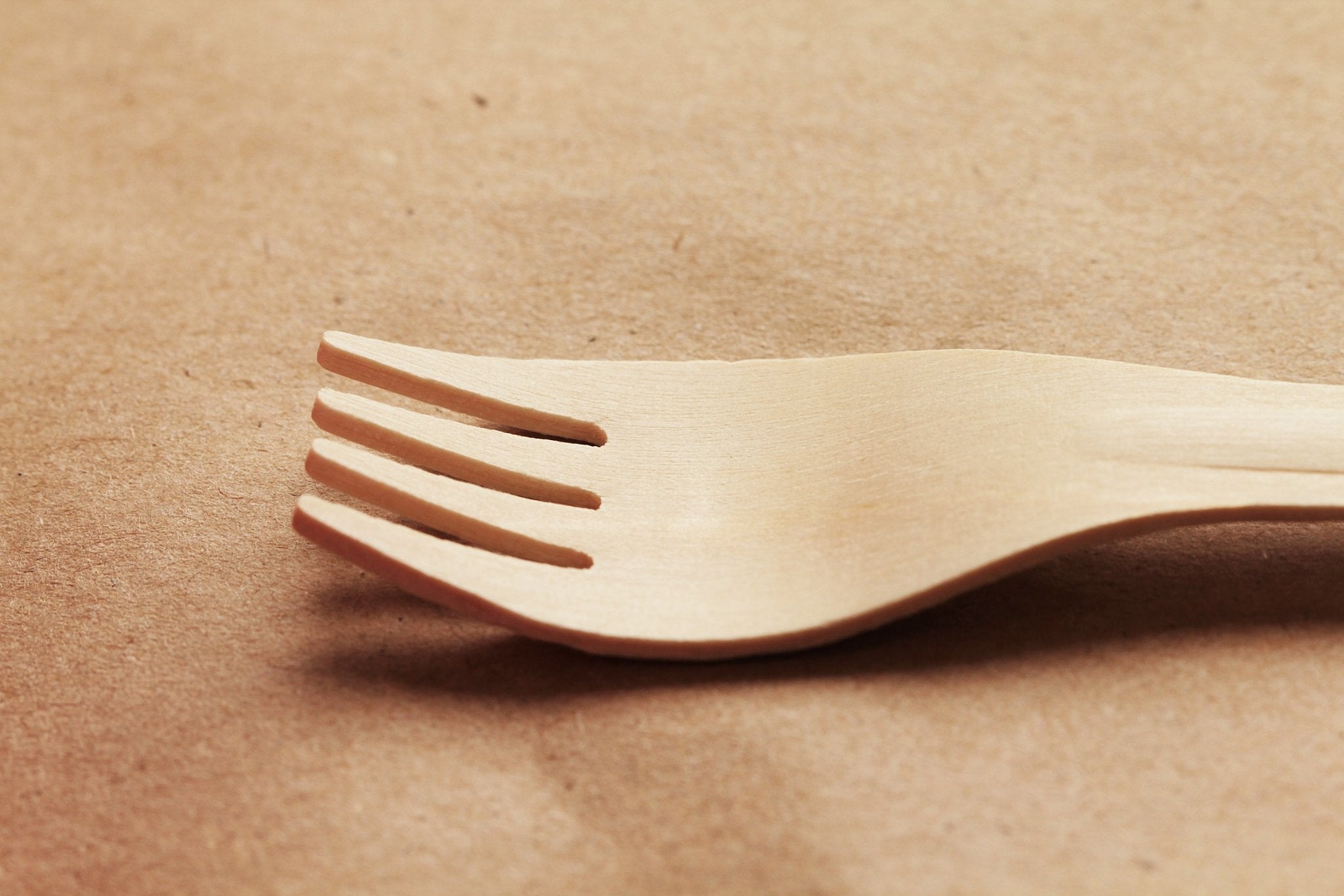 Holzgabel 16cm 100 Stück EKO