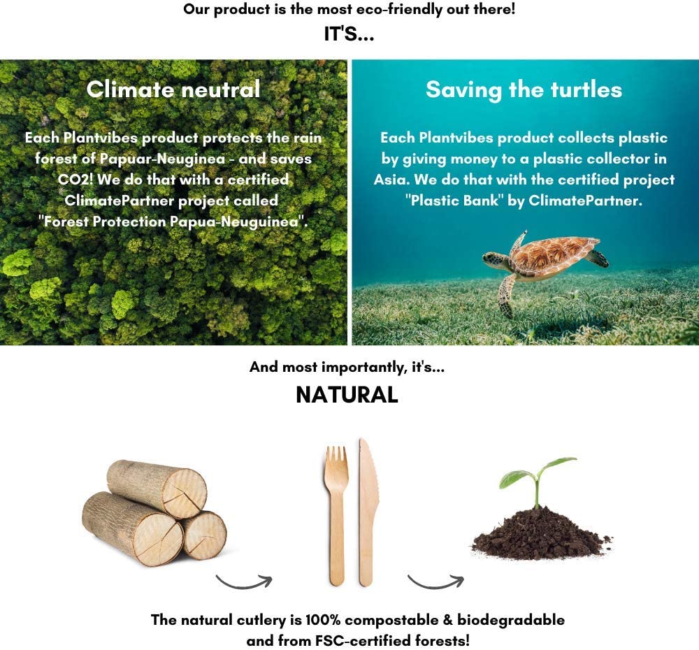 Holzgabel 16cm 100 Stück EKO