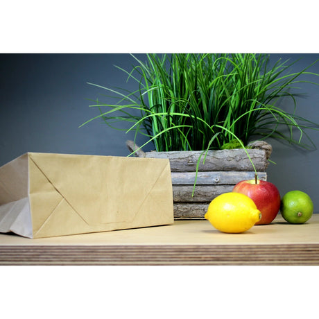 Papiertüte mit gedrehtem Griff - Braun - 240x100x360mm