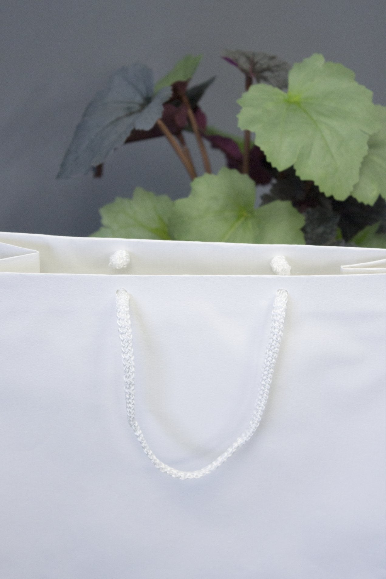 Papiertüte eco prestige 24+9x32cm Weiß - AllBags