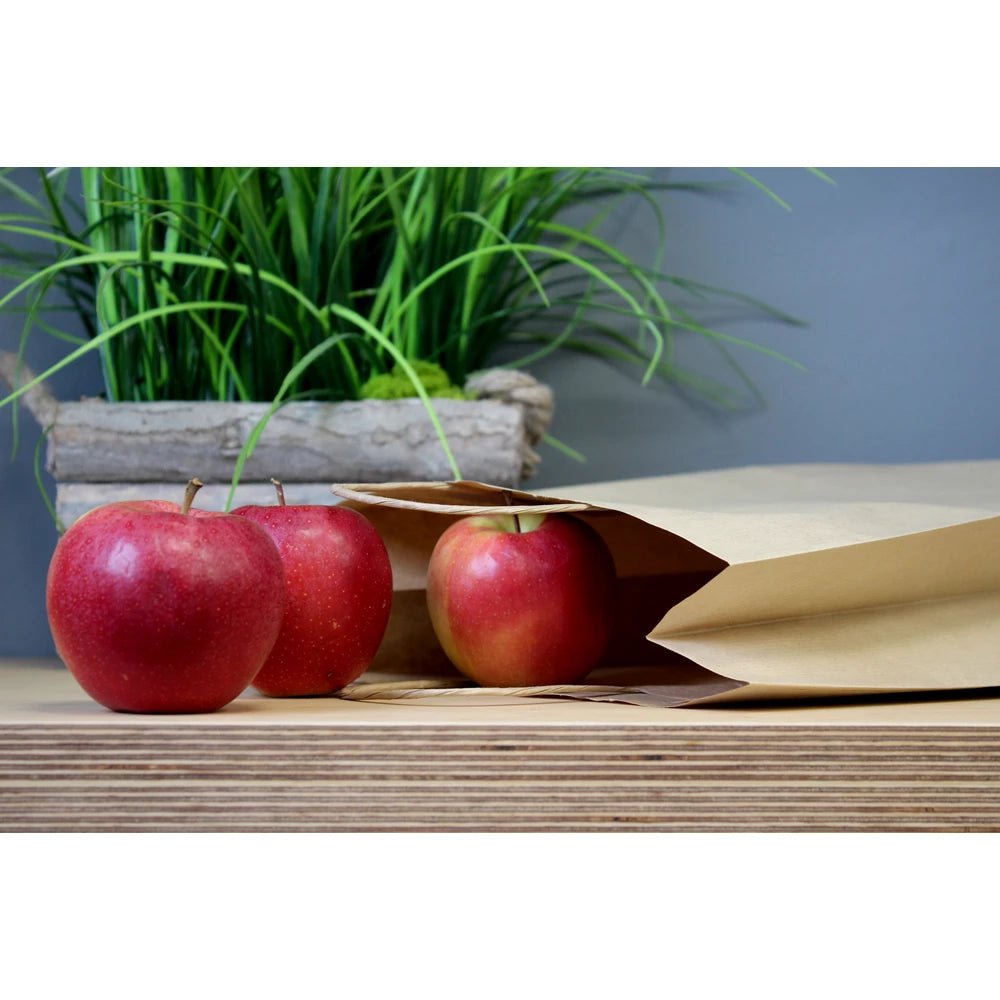 Papiertüte mit gedrehtem Griff 24+10x32cm Braun - AllBags