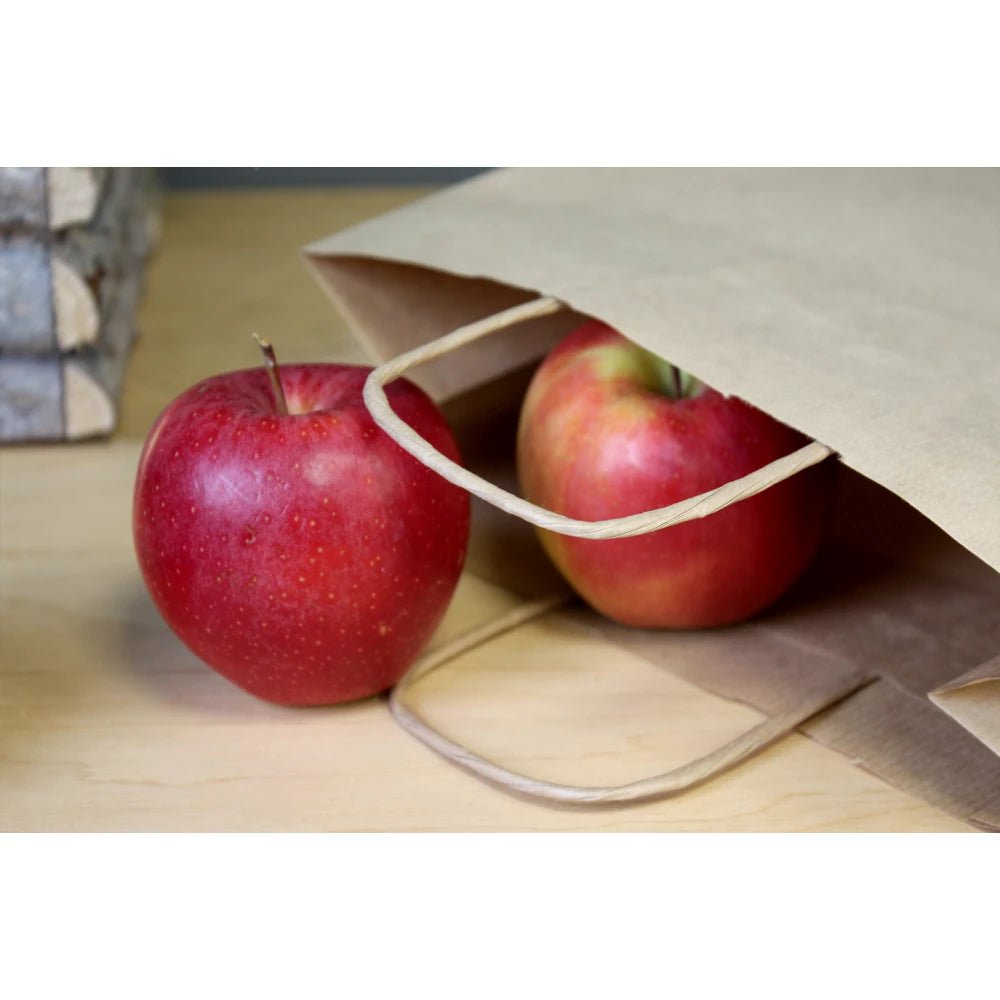 Papiertüte mit gedrehtem Griff 24+10x32cm Braun - AllBags