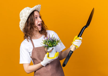 Grundausstattung für Gartenanfänger: Welche Werkzeuge braucht man als Anfänger und wie bewahrt man sie auf?