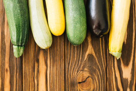 Der Hit des Sommers: Alles, was Sie über Zucchini wissen müssen + 5 Rezepte, die Sie lieben werden