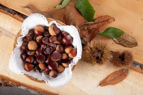 Kastanien – ein Symbol des Herbstes. Was kann man mit Kastanien machen?
