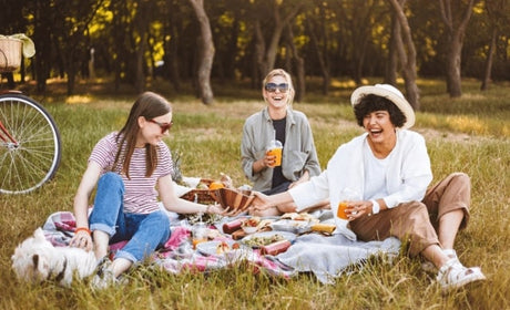 Wie organisiert man das perfekte Picknick?