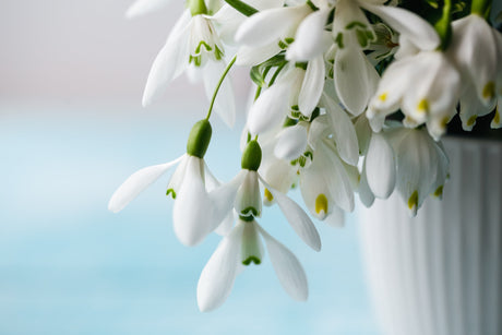 Wie genießt man den Frühling? Entdecken Sie unsere Ideen für kleine Rituale für einen optimistischen Start in den Frühling