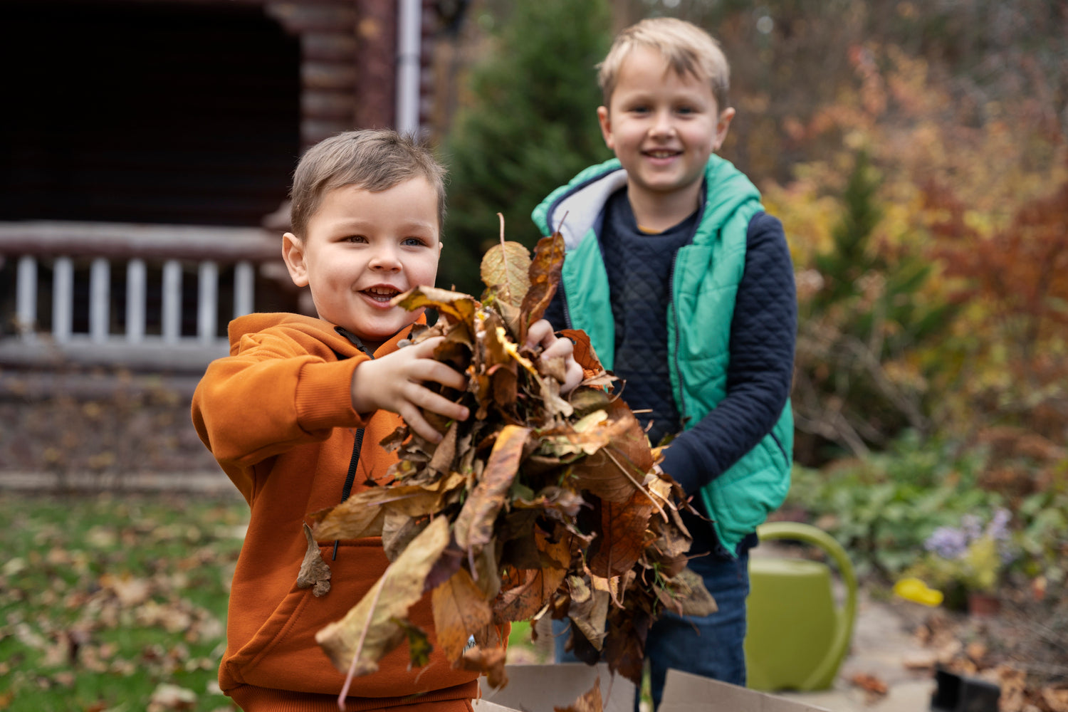 So entfernen sie laub effektiv aus dem garten – praktische tipps und tricks