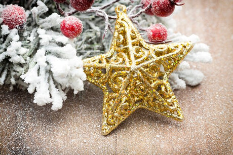 Christbaumsterne