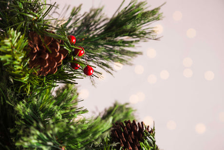 Künstlicher Weihnachtsbaum mit Zapfen – Schnee-bedeckt 220 cm