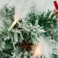 Ein kleiner, mit Schnee bedeckter Kiefern-Weihnachtsbaum
