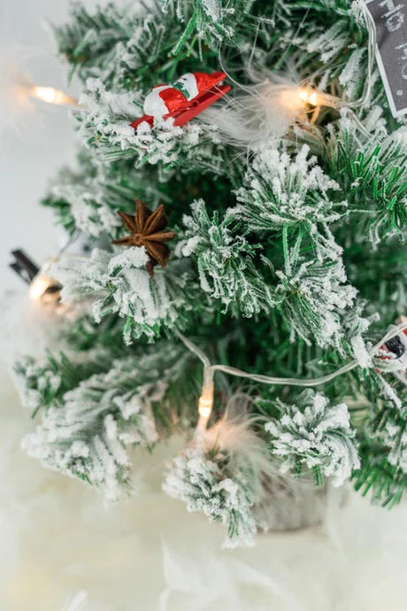 Ein kleiner, mit Schnee bedeckter Kiefern-Weihnachtsbaum