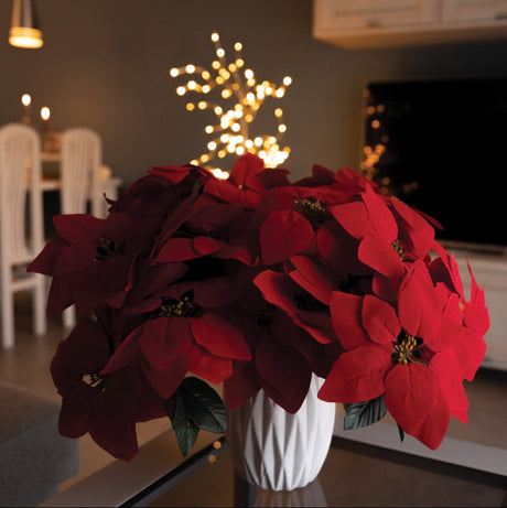 Stern von Bethlehem 45cm