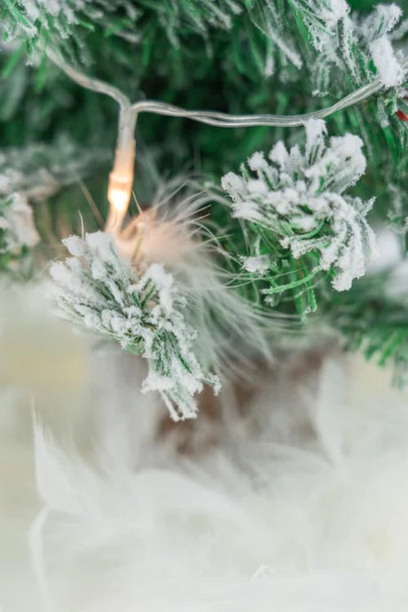 Ein kleiner, mit Schnee bedeckter Kiefern-Weihnachtsbaum