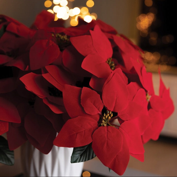 Künstliche Blumen Blumenstrauß Stern von Bethlehem Weihnachtsstern