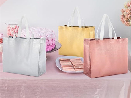 Polypropylenbeutel 320x120x280mm 3St