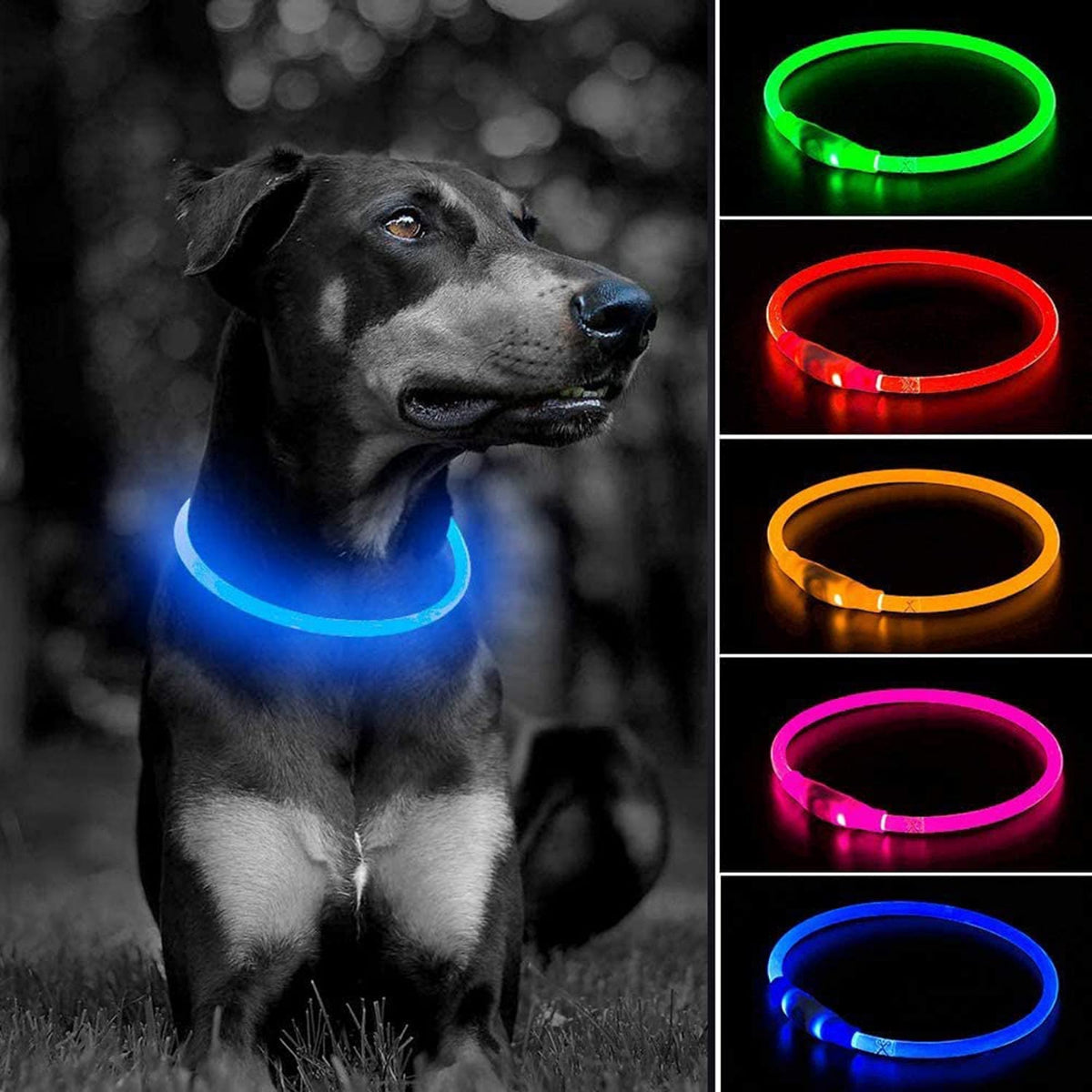 LED-Halsband für Hund oder Katze
