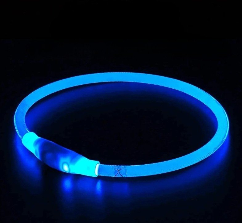 LED-Halsband für Hund oder Katze