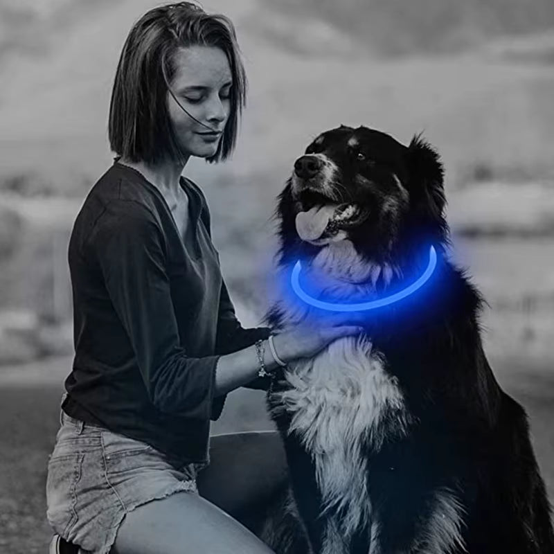 LED-Halsband für Hund oder Katze
