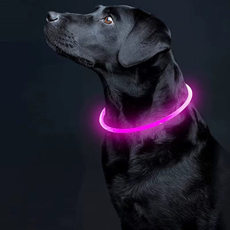 LED-Halsband für Hund oder Katze