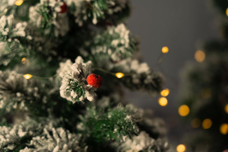 Kleine rote Eberesche