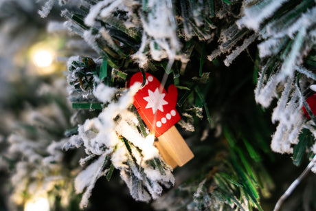 Holzklammern 10 Stk.