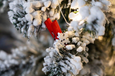 Holzklammern 10 Stk.