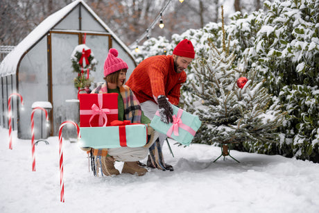 Solar Weihnachtsbeleuchtung Zuckerstangen LED 12er Set