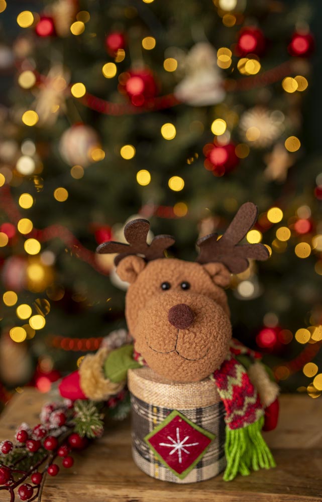 Weihnachtsverpackung Rentier-Maskottchen