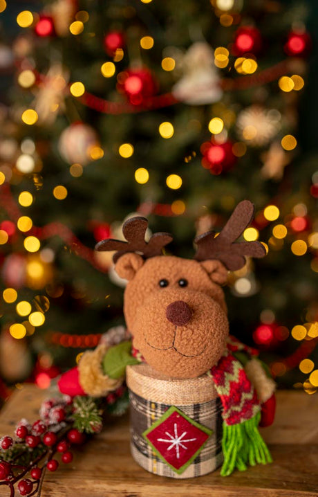 Weihnachtsverpackung Rentier-Maskottchen