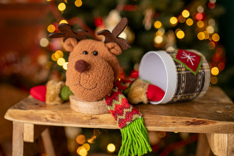 Weihnachtsverpackung Rentier-Maskottchen