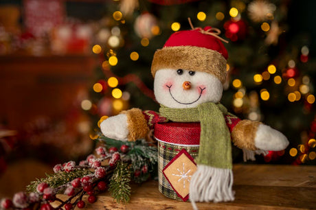 Weihnachtsverpackung Schneemann Maskottchen