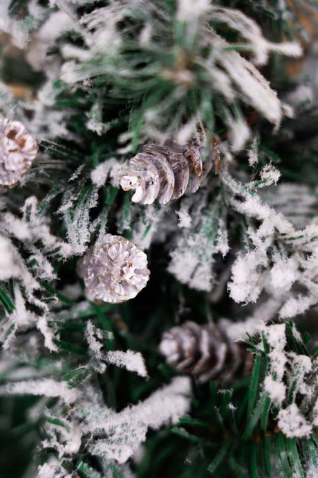 Dekorative gefrostete Zapfen Weihnachtsdeko 8 St.