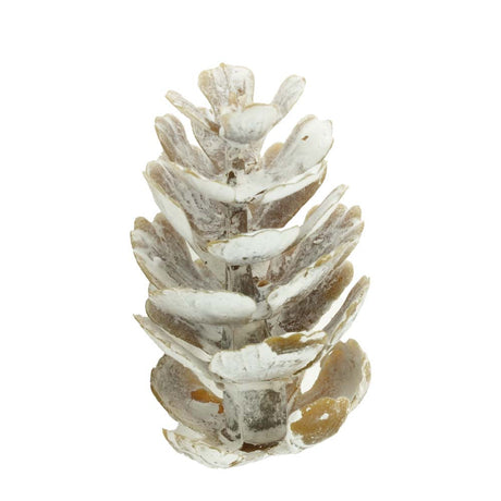 Set schneebedeckte Kegel auf Draht 8-tlg.