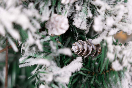Dekorative gefrostete Zapfen Weihnachtsdeko 8 St.