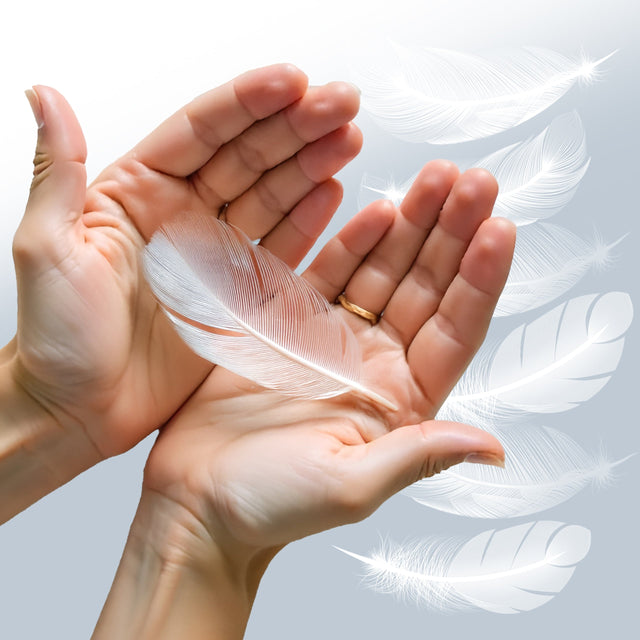 Dekorative weiße Federn