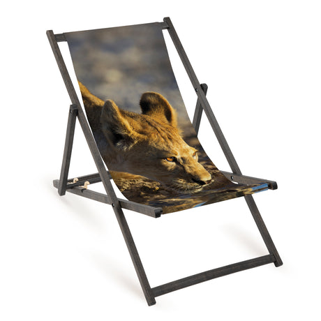 Holz-Liegestühle Robust-Edition mit schwarzem Gestell