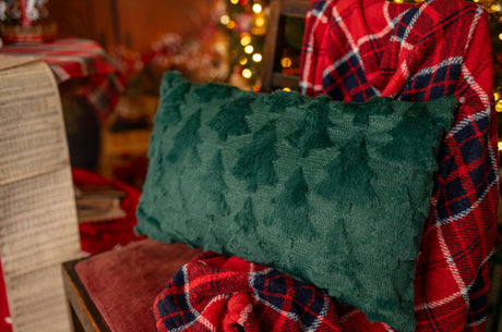 Plüschiges grünes Kissen 30x50cm