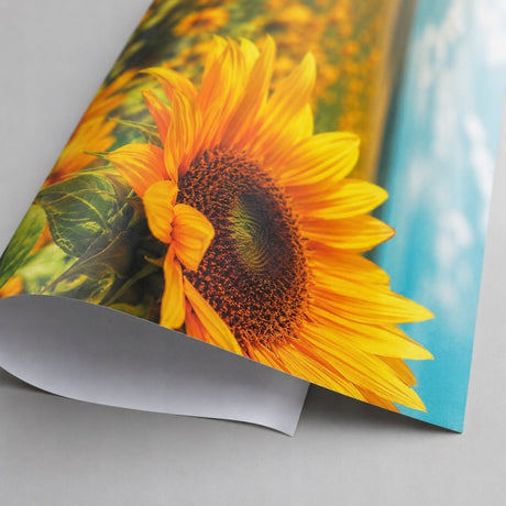 Sublimationspapier Rolle 1,62 x 200 m 65 g/m²