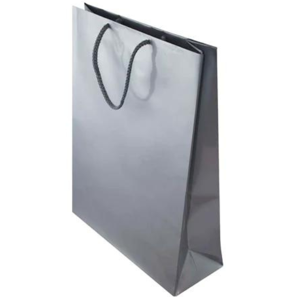 Laminierte Tasche mit Kordelgriff - SILBER - 240x90x320mm