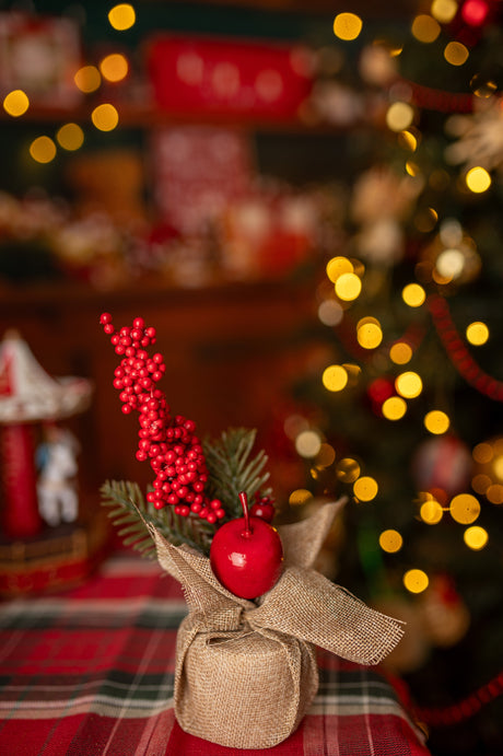 Set mit 6 Weihnachtsdekorationen